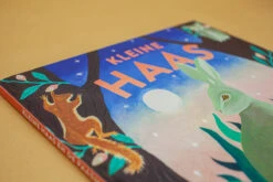 Kleine Haas En De Paasmaan 3 Jr+ -Speelgoedverkoop KleineHaasendePaasmanB