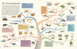 Het Dikke Boek Van Alle Bijzondere Dino's 7jr+ -Speelgoedverkoop Snag 5c3e7eba