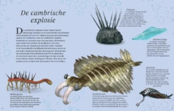 Het Dikke Boek Van Alle Bijzondere Dino's 7jr+ -Speelgoedverkoop Snag 5c3f5b40