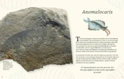 Het Dikke Boek Van Alle Bijzondere Dino's 7jr+ -Speelgoedverkoop Snag 5c3fd532