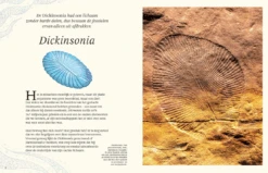 Het Dikke Boek Van Alle Bijzondere Dino's 7jr+ -Speelgoedverkoop Snag 5c404dbe