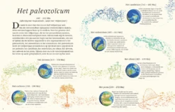 Het Dikke Boek Van Alle Bijzondere Dino's 7jr+ -Speelgoedverkoop Snag 5c40e72f