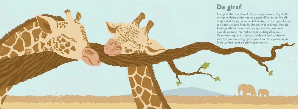 Zo Slapen Dieren 4 Jr+ 4 Zo Slapen Dieren 4 Jr+ - Afbeelding 2