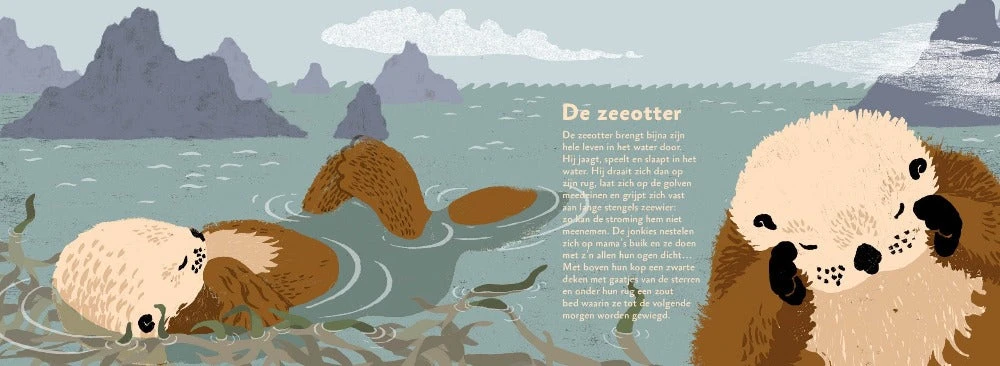 Zo Slapen Dieren 4 Jr+ 5 Zo Slapen Dieren 4 Jr+ - Afbeelding 3